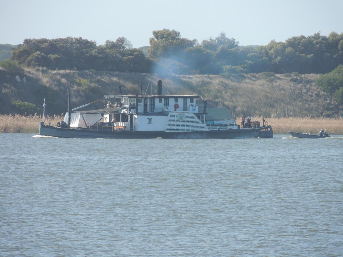 Ps Federal Retreat Paddle Steamer 古尔瓦 外观 照片